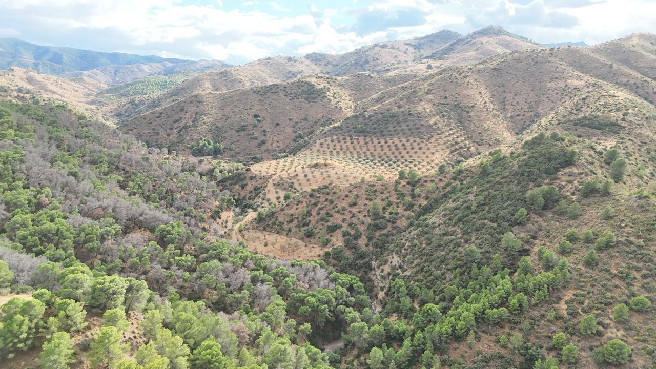 Finca Ardales — vista aérea 2
